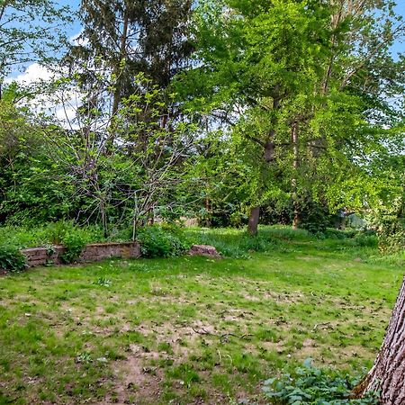 Altstadt Apartment Am Wasser Mit Parkplatz Und Grossem Garten Бад Кройцнах Екстериор снимка