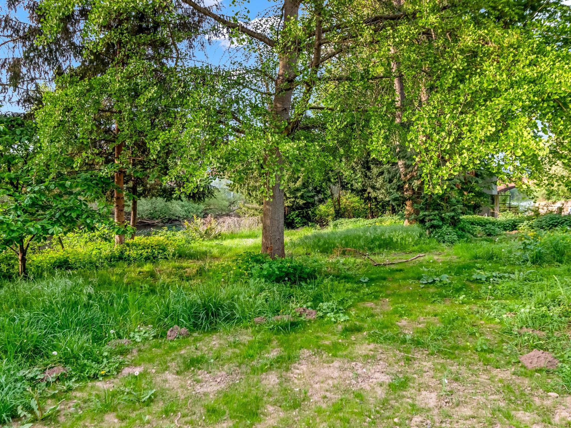 Altstadt Apartment Am Wasser Mit Parkplatz Und Grossem Garten Бад Кройцнах Екстериор снимка